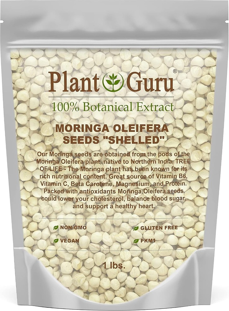 Moringa Seeds Kernel Shelled 16 oz. / 1 lb. – Clean PKM1 Variety – Edible –