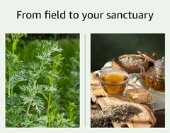 Wormwood Herb – Cut & Sifted – Artemisia Absinthium – Loose Bulk Herb