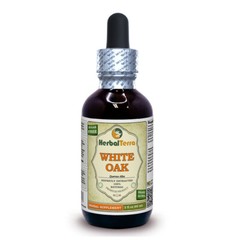 White Oak (Quercus Alba) Tincture, Organic Dried Bark Liquid Extract