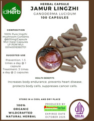 CAPSULE JAMUR LINGZHI GANODERMA LUCIDUM NATURAL ORGANIC HERBAL HERBS