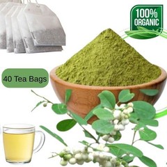 Spinous Fluggea Leucopyrus (Katupila) Powder 40 Tea Bags for Diabetic and Wound
