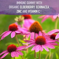 Elderberry Gummy For Adult Immune Support Supplement W/Organic Fruit Herba Blend