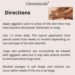 Eggplant Salve, Eggplant Cream, Skin Cell Health Support, Healing Ointment