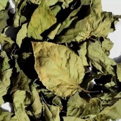 Lantana Camara Leaves 150 Sri Lanka Dried Natural Shrub Verbena,Tick Berry Leaf