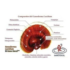 3 Bottle X 30 Caps Gano Excel – Gano Ganoderma Lucidum ORIGINAL