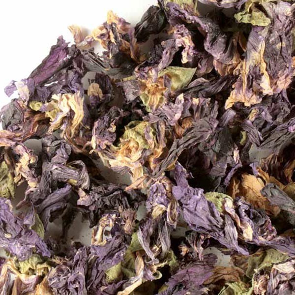 WholeSALE!! Malva Blue Edible Flower PREMIUM Dried Whole-4 oz, 1 lb.