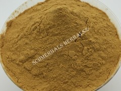 Lemon Balm, M. officinalis, 100:1 Powdered Extract ~ Schmerbals Herbals