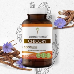 Secrets Of The Tribe Chicory Capsules, 500 mg