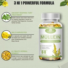 2 bottles Mullein Leaf 1500mg 60 Capsules Respiratory Wellness Supplement