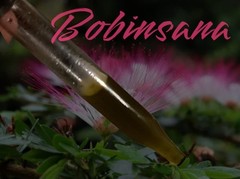 Bobinsana Tincture KUSHI KUSHI 30ml