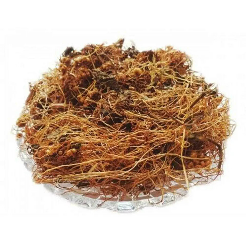 Amar Bel Cuscuta Reflexa Akash Bel Afteeyun Aftimoon Dodder Akash Bel Herb Whole