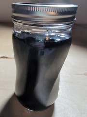 Ghost Pipe Tincture 60 mL All Natural Tinctured immediately after picking