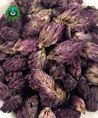 Organic Indian Warrior – Free Sample – Potent – Pedicularis densiflora USA SHIP
