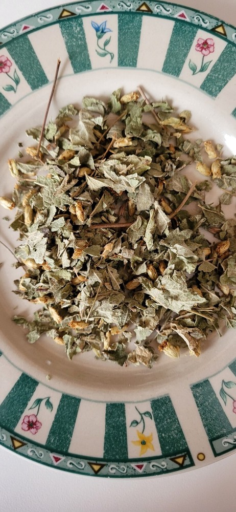 Premium Calea Zacatechichi (Wildcrafted from Mexico) “Mexican Dream Herb” – 1 oz