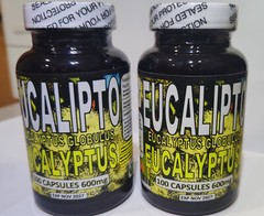 Eucalipto – eucalyptus 100 Capsules – Hojas de eucalipto Capsulas