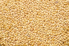 Golden Flax Seeds Whole 1 lb. Omega-3 NON GMO 100% Pure Linseed Flaxseed Bulk