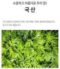 100% Natural Mugwort Powder 300g Korean Medicinal Powder Herbal Powder NEW