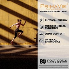 Nootropics Depot PrimaVie Shilasjit Capsules 250mg 90 Count – EXP 2028+