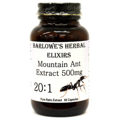 Mountain Ant | 500mg | 20:1 Extract | 500mg | Stearate Free | 60 Veggie Capsules