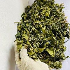 Calea Zacatechichi (Mexican Dream Herb) | Natural Dried Herbal Leaves 100g |Tea