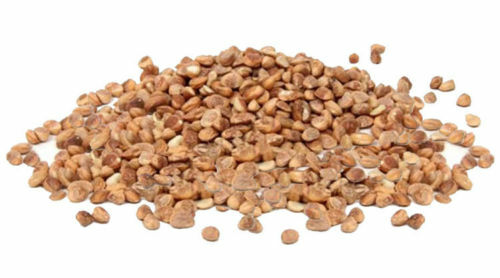 Indian Ayurvedic Chironji Seed Charoli Seed Buchanania Lanzan Seed-5.3 oz