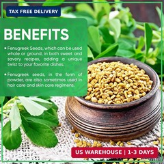Jiva Organics Organic Fenugreek Seeds Whole 1 Pound Jar – Methi Seed for Cooking