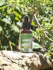 Moringa Tincture – Total Health & Wellness (Alcohol Free)