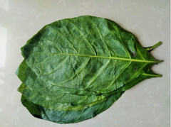 80g Natural Dried Noni Leaves Powder Ahu Morinda Citrifolia Organic Fruit Herb