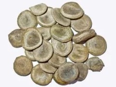 Patil Foods Kuchla Beej – Nux Vomica Seeds (Struchnos)