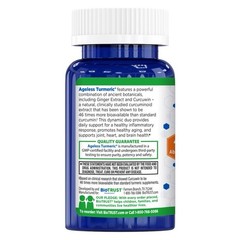 AGELESS TURMERICe— OPTIMIZED CURCUMIN SUPPLEMENT 12/26