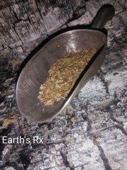 Earth’s Rx Herbal Organic Mountain Mint Dried Herb Loose Leaf 16 fl oz. bag