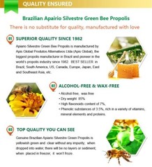Brazilian Green Bee Propolis Liquid Drop 30ml (1 Bottle)