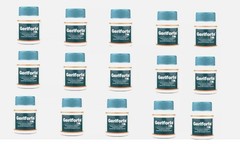Himalaya Herbal Geriforte 15 Packs 900 Tablets Each FREE SHIP Expiry 11/2027