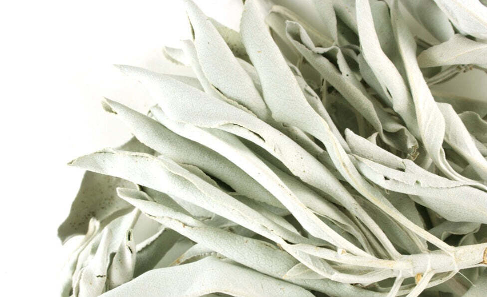 Whole White Sage – Wild Crafted – Premium Quality
