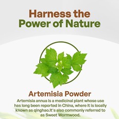 Artemisia Powder 8 oz | Sweet Wormwood Powder | Artemisia Annua | Non-Gmo