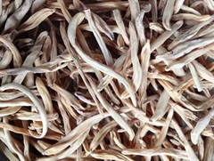 Safed Musli Kaunch Beej Ashwagandha Shatavari Gokhru Akarkara Whole Herbs