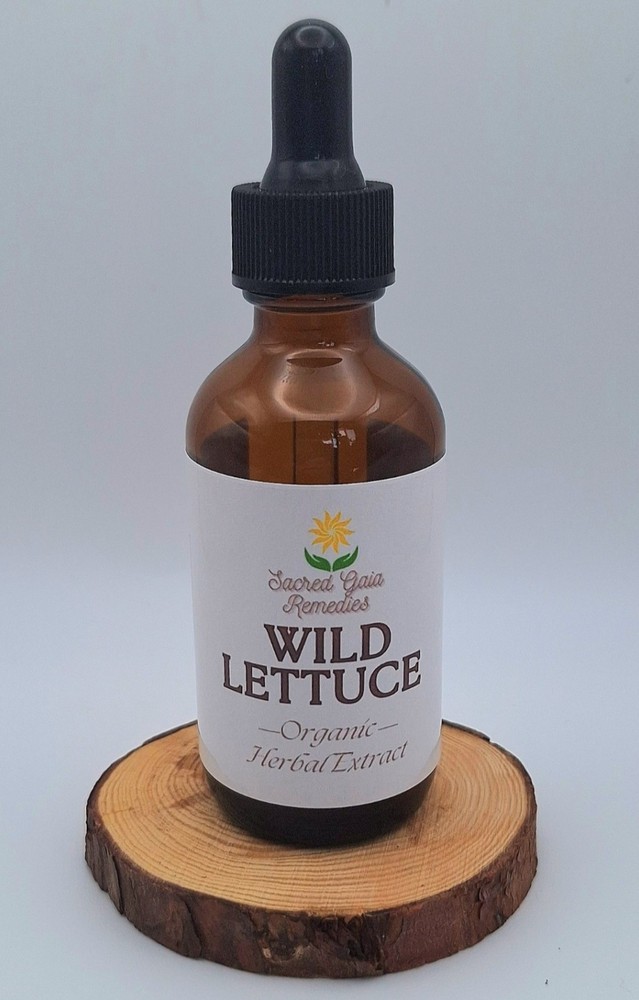 Wild Lettuce Tincture Herb Extract, Fresh Herbal Extract, Nervine, Stress, Sleep