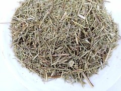 Common wormwood artemisia 100 gram (3.5 oz) عشبة الشيح شيح