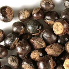 WholeSALE!! Guarana Seed PREMIUM Dried Whole-4 oz, 1 lb.