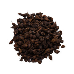 Cyperus Rotundus 25g–250g | نبات السعد | Natural Nut Grass Herb – Ayurvedic Herb