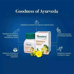 Himalaya Gokshura 60 Tablets x 3 Pack | Boosts Vitality & Energy | Exp. 03/2027