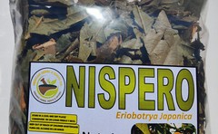 4oz Nispero Mispero Hojas Hierba/Te,Loquat leaves herbs/tea 100% Natural Organic