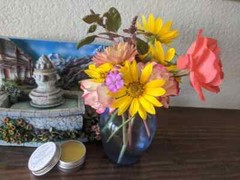 Calendula Salve / Balm Diaper rashes-itchy skin, Cuts, Burns & so much more…
